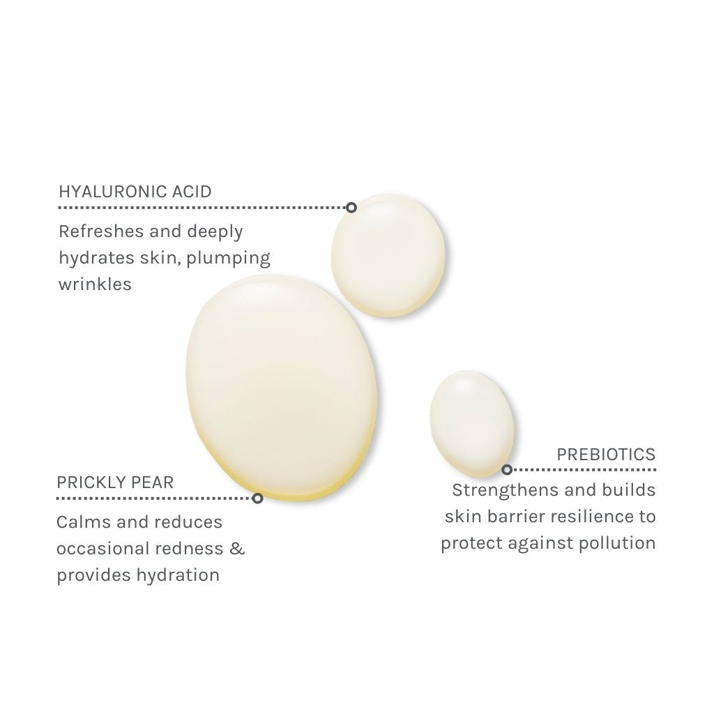 Illustration of skincare ingredients with text on a white background