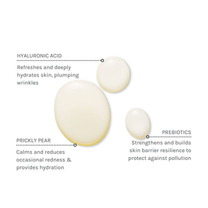 Illustration of skincare ingredients with text on a white background