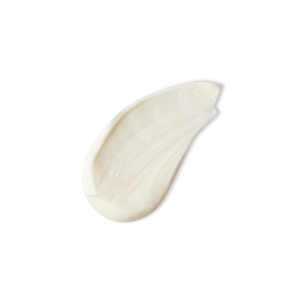 White ceramic dish on a white background